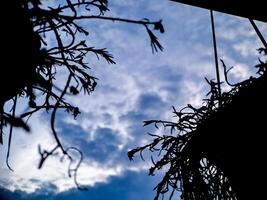 A blue sky with clouds photo