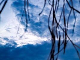 A blue sky with clouds and some trees photo