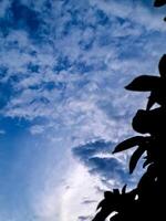 A blue sky with clouds and a bird flying photo