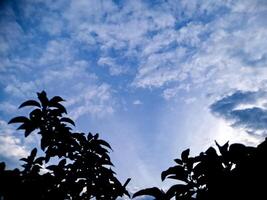 A blue sky with clouds and a tree in the foreground photo