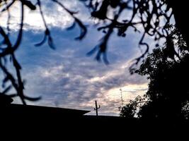 A cloudy sky with a blue sky and a tree photo
