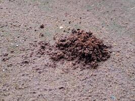 A pile of dirt on the ground photo