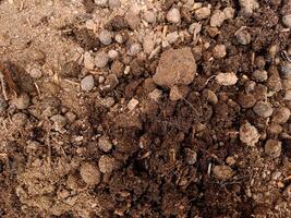 A close up of a pile of dirt and rocks photo