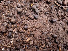 Soil texture background photo