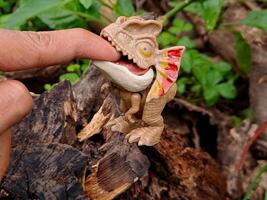 A hand holding a toy dinosaur on a tree stump photo