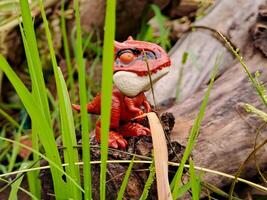 A vibrant red dinosaur toy peeking through tall grass, creating a sense of adventure and exploration photo