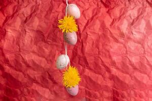 Yellow dandelions and eggs the color of Peach Fuzz are speckled, hanging on a red background. The concept of the Easter holiday. photo