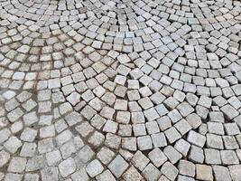 The grey sidewalk is paved with semi-circular paving stones photo