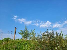 Against the background of a blue sky with feathery clouds, a thin chimney protrudes from behind green bushes. photo