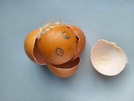 A brown shell of a broken egg with painted eyes. The concept of Easter photo