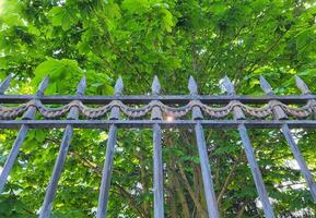 A fence with sharp tips on a background of green chestnut leaves photo