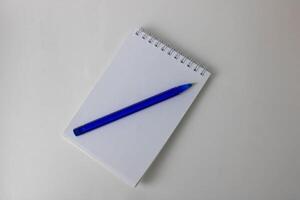 There is a spiral-shaped paper notepad and a blue pen on the table. photo