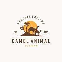 camel logo simple template icon symbol vector