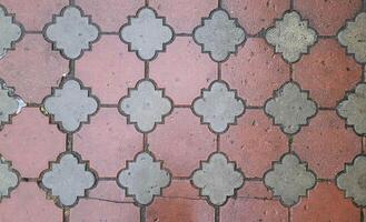 The background is wet red patterned paving slabs on a rainy day photo