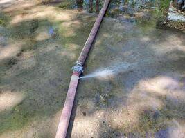 A leaking irrigation hose is lying on the concrete sidewalk, and water is streaming through the hole. photo