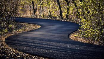 Winding Asphalt Path Through Springtime Woods photo