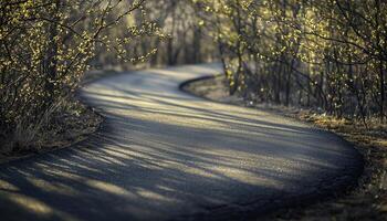 Winding Path Through Springtime Bushes and Trees photo