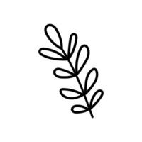 Minimal botanical branch outline for eco and nature-inspired designs vector