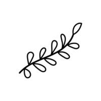 Hand-drawn botanical branch outline for natural and eco-friendly design vector