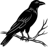 A raven silhouette on a tree branch. vector