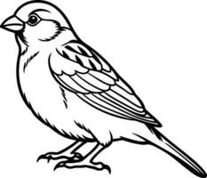 A simple perched Line Art sparrow with fine details. vector