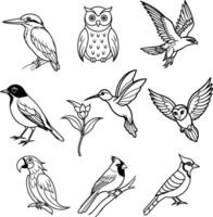 Beautiful Bird Line Art Collection9 Elegant Avian Sketches vector