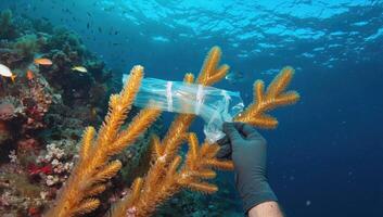 Diver collecting plastic bag trapped on coral reef in the ocean photo