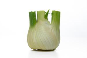 Fresh fennel bulb with vibrant green fronds sitting against a bright background in a culinary setting photo