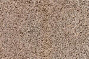 Textured surface displaying sandy hues and subtle patterns against a neutral backdrop at midday light photo