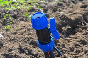 Sprinkler system ready for use in a vibrant green garden on a sunny afternoon photo