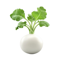 A white vase with a turnip in it png