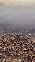 Tranquil sunset reflection on serene river surface with pebbled shoreline video