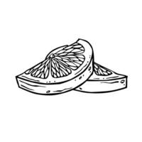Lemon pieces. Hand drawn ink graphic illustration of citrus fruit. Linear drawing of lime. Outline sketch of citron. Black line art of chopped grapefruit for kitchen textiles, packaging or label vector