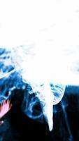 Glowing Particles Animation Loop video