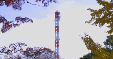A yellow gingko tree and red maple tree with tower at Hibiya park in Tokyo zoom out video