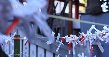 Oracles at Hanazono shrine in Tokyo daytime video