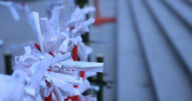 Oracles at Hanazono shrine in Tokyo daytime video