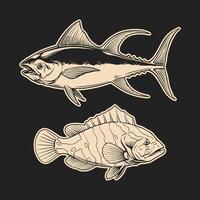 outline drawing tuna and grouper fish illustration vector