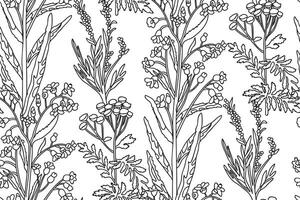Line art botanical abstract seamless plant pattern with wildflowers illustration. Black and white outline repeating floral background. Graphic design for Wallpaper Textile Print Cover Card vector