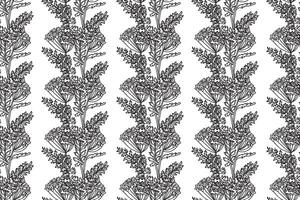 Line art floral pattern seamless abstract background. Black and white outline repeating botanical Hydrangea illustration. Graphic design for Print Wallpaper Cover Fabric Wrapping Wedding Card vector