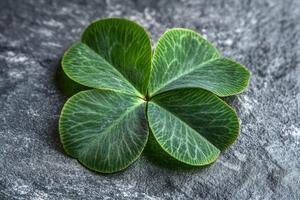 Closeup View of a Vibrant Green Four Leaf Clover Resting on a Dark Gray Stone Surface, Symbolizing Luck and Fortune photo