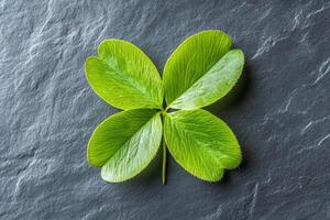 Vibrant Green Four-Leaf Clover on Dark Slate Background A Symbol of Luck and Nature's Beauty photo
