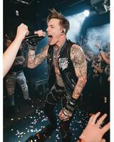 Concert Singer's Energetic Performance Captures the Crowd's Excitement photo