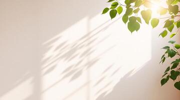 A minimalist off-white plaster wall, gently illuminated by sunlight, with green leaves bringing an organic touch, perfect for a serene and refreshing environment photo