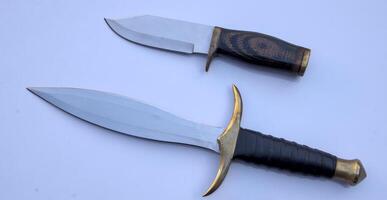 Stylish Dagger and Bowie Style Hunting Knife, White Background photo