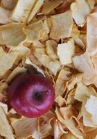 Single Juicy Red Apple On An Oven Dried Apple Pieces Stock Photo For Vertical Story