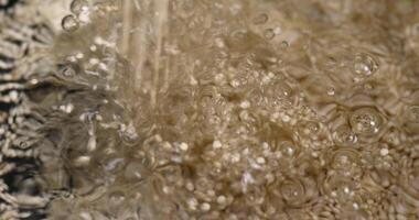 large amount of quinoa porridge floats in clean water photo