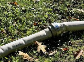 Fire hose lying on grass with fallen leaves in sunlit garden photo