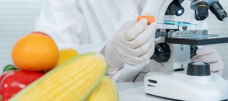 Scientist check chemical food residues in laboratory. Control experts inspect quality of fruits, vegetables. lab, hazards, ROHs, find prohibited substances, contaminate, Microscope, Microbiologist. photo