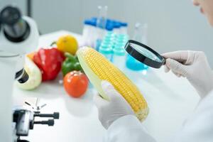 Scientist check chemical food residues in laboratory. Control experts inspect quality of fruits, vegetables. lab, hazards, ROHs, find prohibited substances, contaminate, Microbiologist. photo